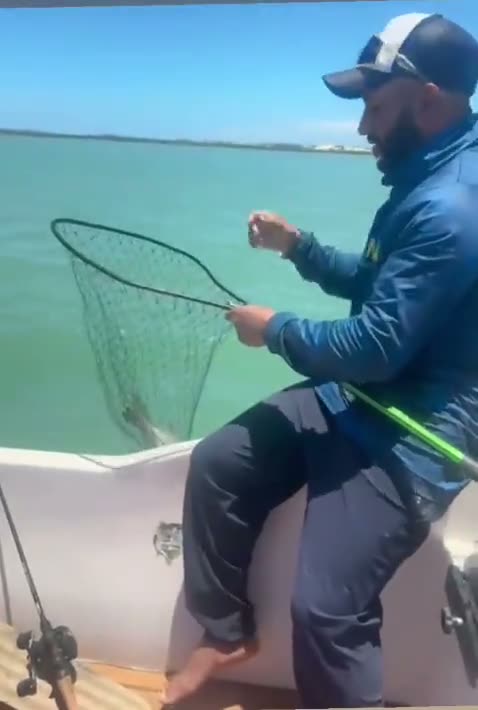 Vídeo: Peixe na rede