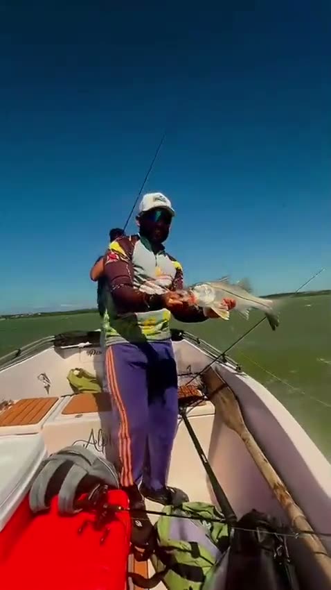 Vídeo: Robalo na mão
