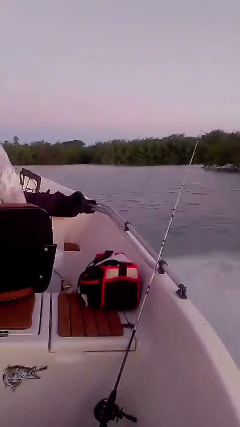 Vídeo: Fim de tarde na lagoa