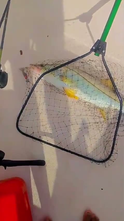 Vídeo: Rede no barco