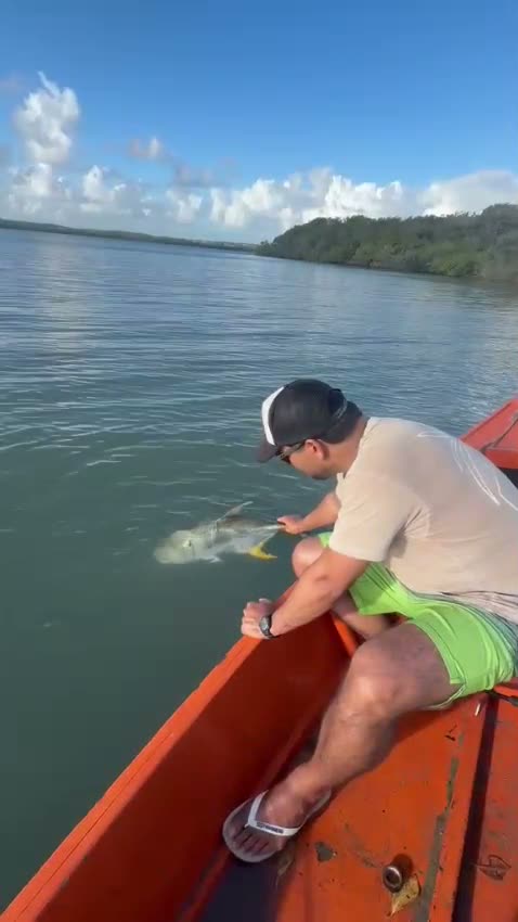Vídeo: Chegando no barco